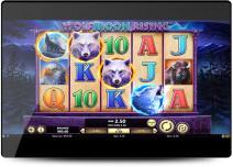 Wild Sultan Casino